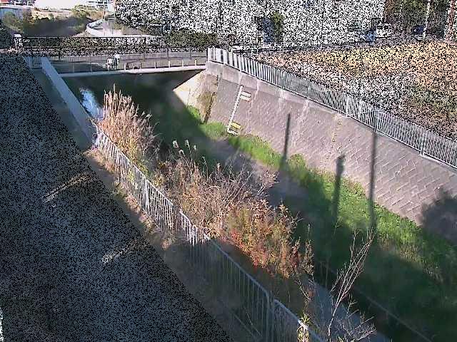 永池橋付近のカメラ画像