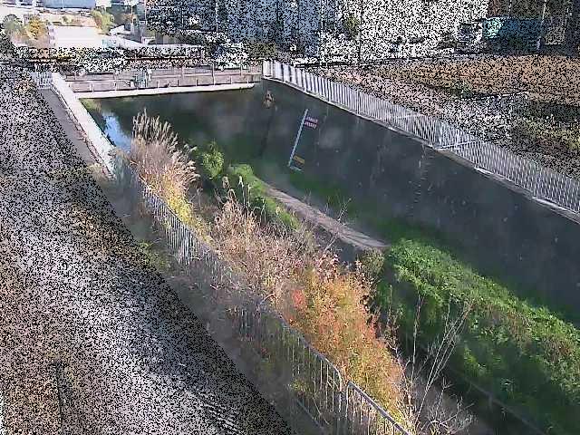 永池橋付近のカメラ画像