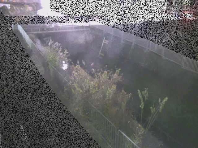 永池橋付近のカメラ画像