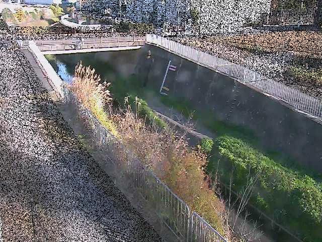 永池橋付近のカメラ画像