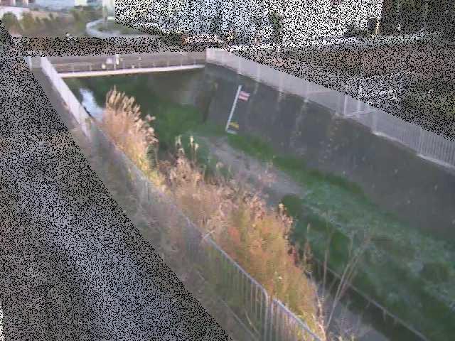 永池川 永池橋付近のカメラ画像