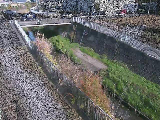永池橋付近のカメラ画像