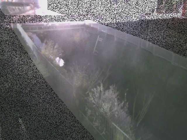 永池川 永池橋付近のカメラ画像