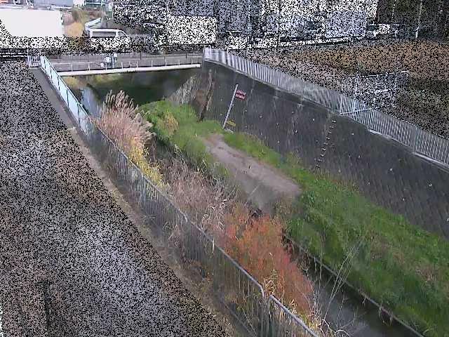 永池橋付近のカメラ画像