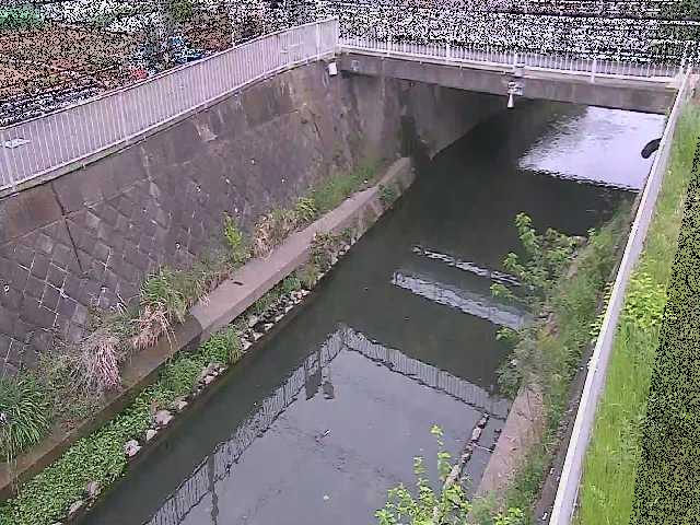吉野橋付近のカメラ画像