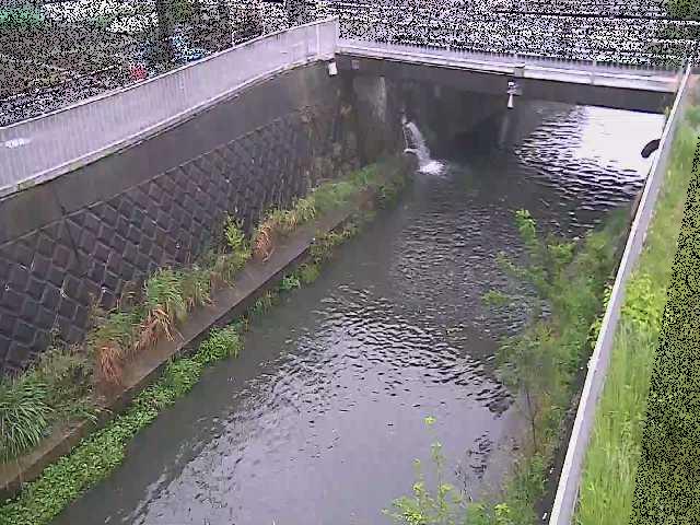 吉野橋付近のカメラ画像