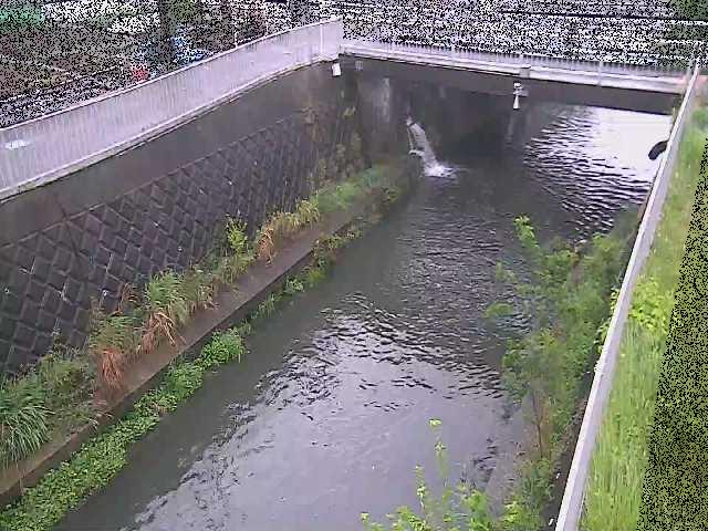 吉野橋付近のカメラ画像