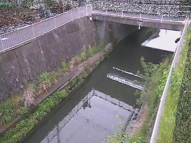 吉野橋付近のカメラ画像