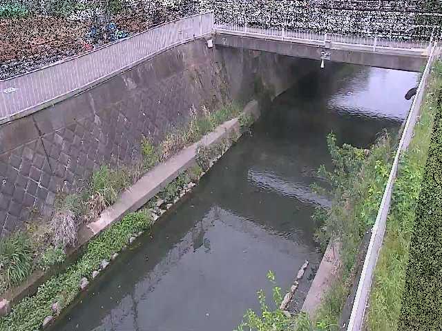 吉野橋付近のカメラ画像