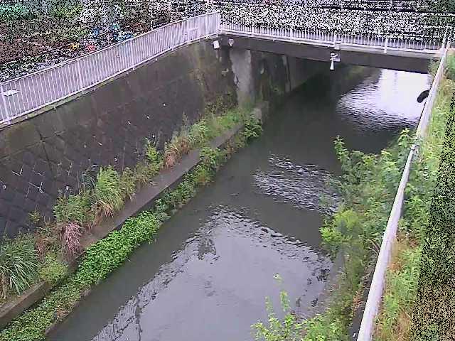 吉野橋付近のカメラ画像