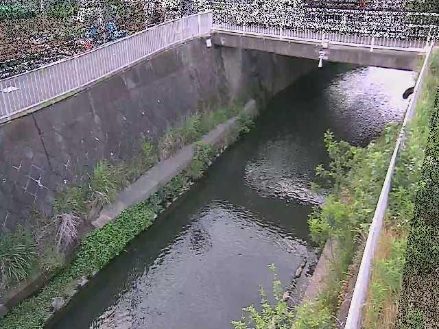 吉野橋付近のカメラ画像