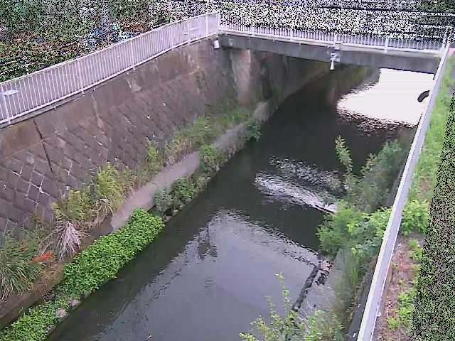 吉野橋付近のカメラ画像