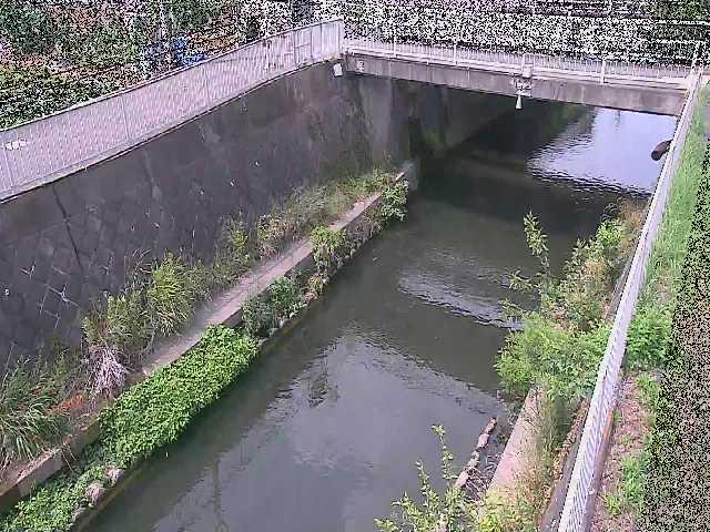 吉野橋付近のカメラ画像