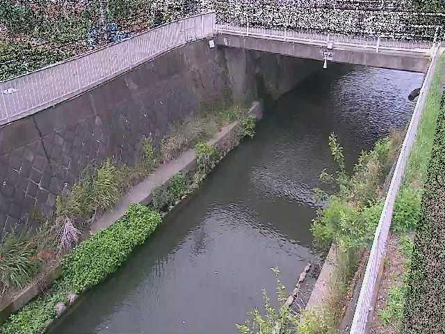 吉野橋付近のカメラ画像