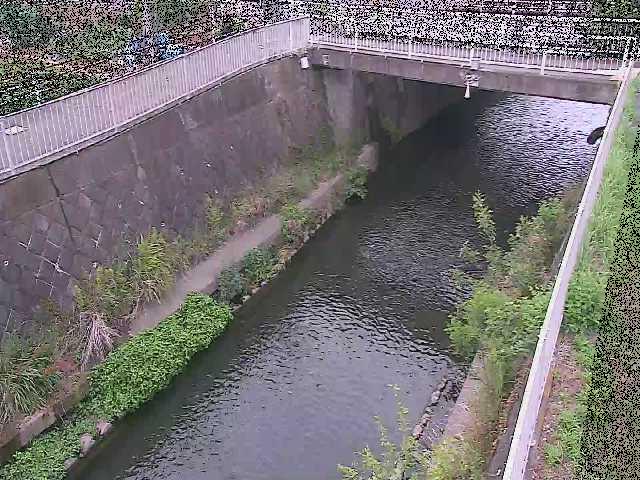 吉野橋付近のカメラ画像