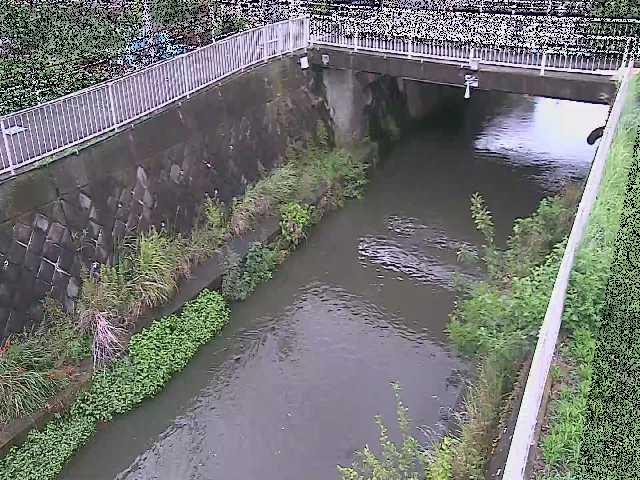 吉野橋付近のカメラ画像