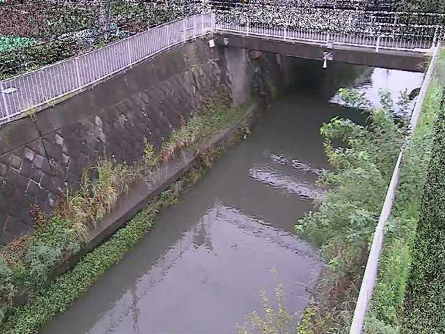 吉野橋付近のカメラ画像