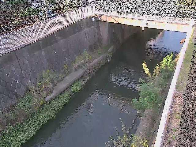 目久尻川 吉野橋付近のカメラ画像