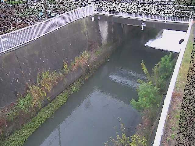 吉野橋付近のカメラ画像
