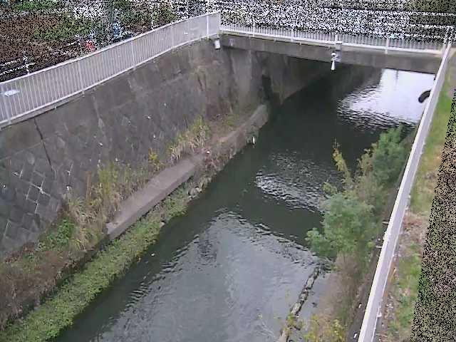 吉野橋付近のカメラ画像