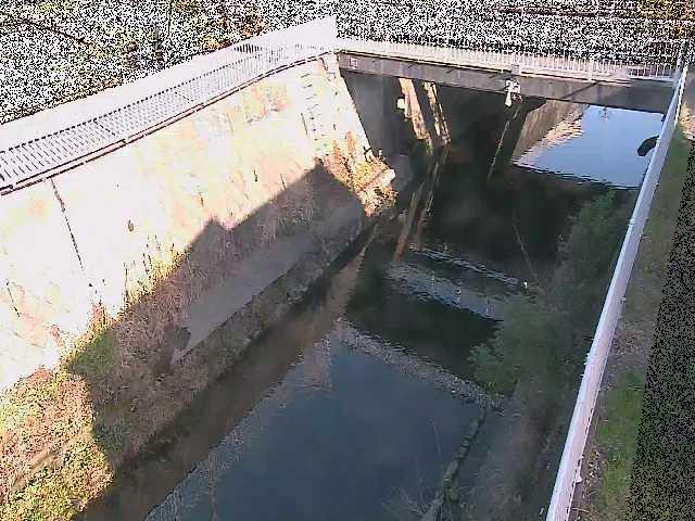 吉野橋付近のカメラ画像