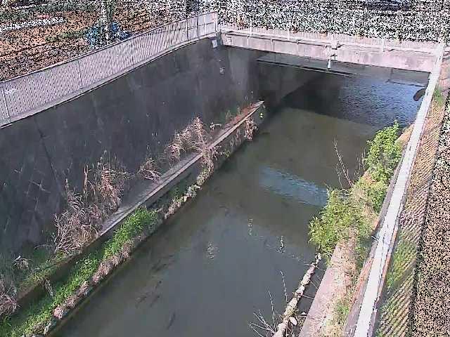 吉野橋付近のカメラ画像