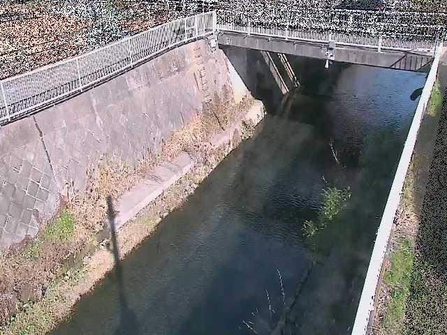 吉野橋付近のカメラ画像