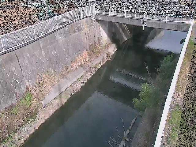 吉野橋付近のカメラ画像