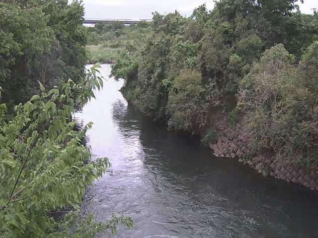 海老名分水路付近のカメラ画像