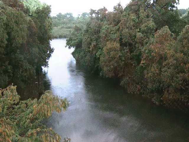 鳩川 海老名分水路付近のカメラ画像