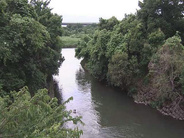 海老名分水路付近のカメラ画像