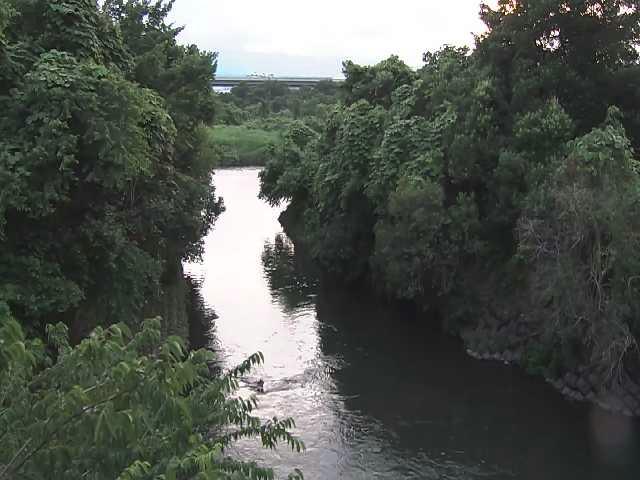 鳩川 海老名分水路付近のカメラ画像
