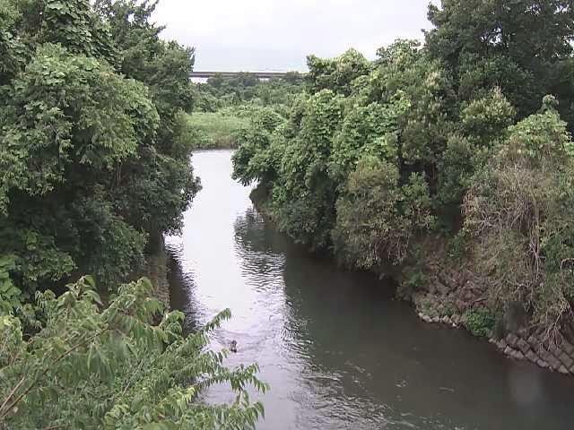海老名分水路付近のカメラ画像