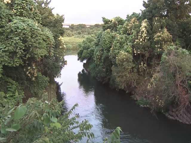 海老名分水路付近のカメラ画像