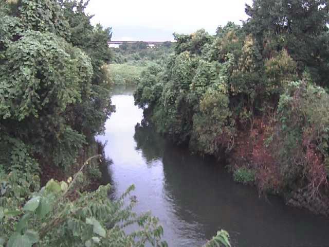 鳩川 海老名分水路付近のカメラ画像