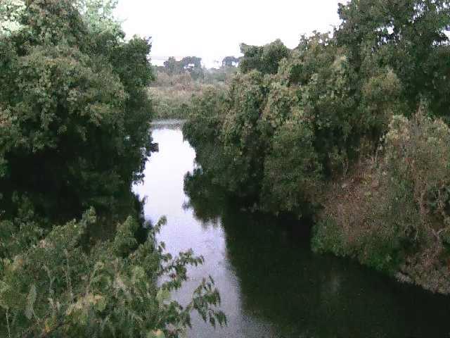 鳩川 海老名分水路付近のカメラ画像