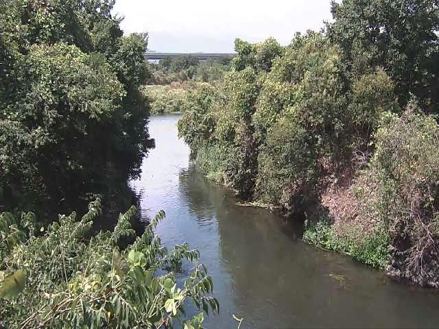 鳩川 海老名分水路付近のカメラ画像