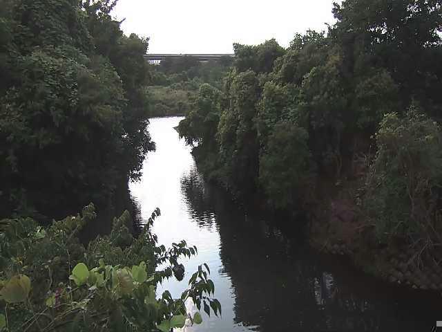 鳩川 海老名分水路付近のカメラ画像