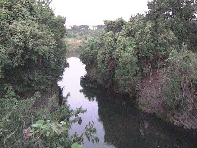 海老名分水路付近のカメラ画像