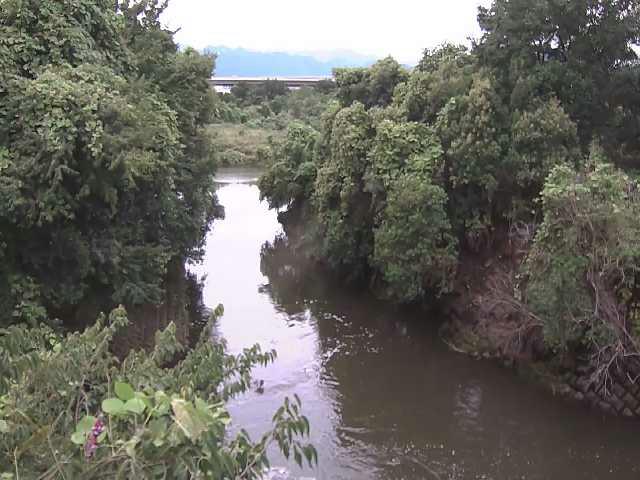 海老名分水路付近のカメラ画像