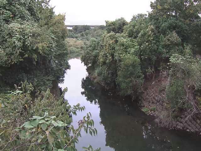 鳩川 海老名分水路付近のカメラ画像
