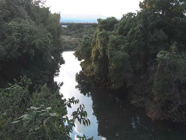 鳩川 海老名分水路付近のカメラ画像