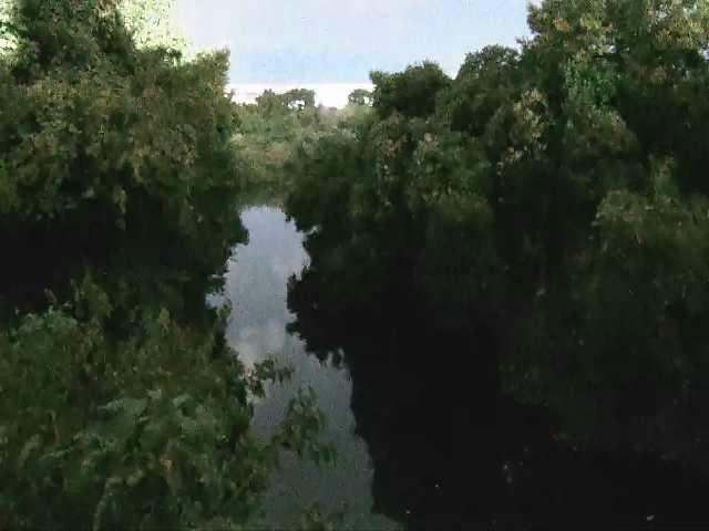 海老名分水路付近のカメラ画像
