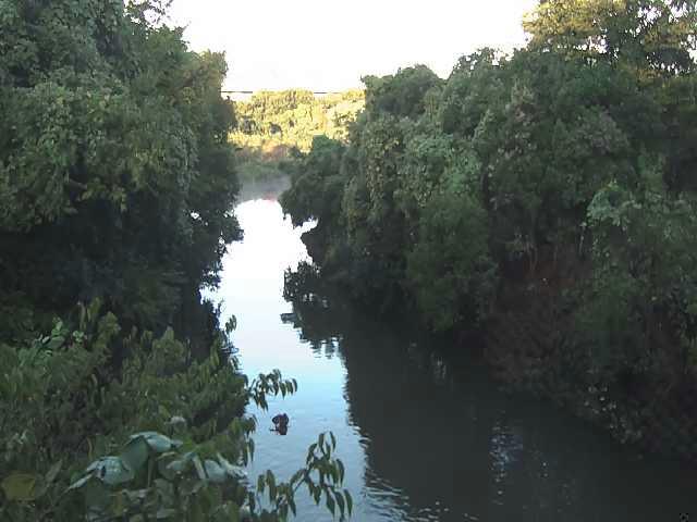 海老名分水路付近のカメラ画像