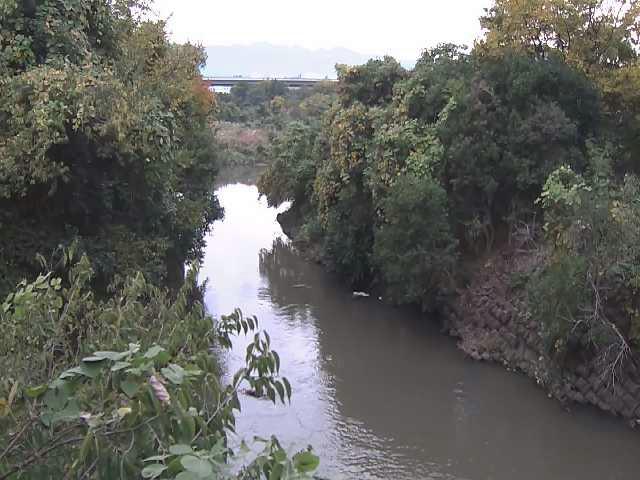 海老名分水路付近のカメラ画像