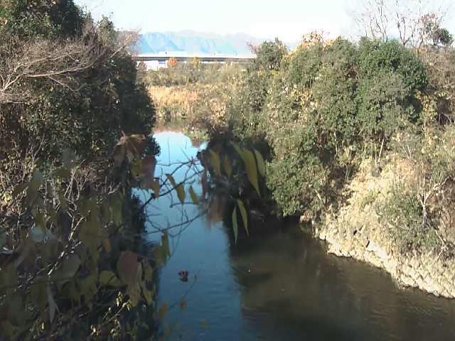 海老名分水路付近のカメラ画像