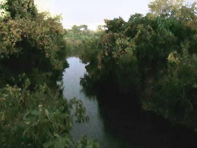 海老名分水路付近のカメラ画像