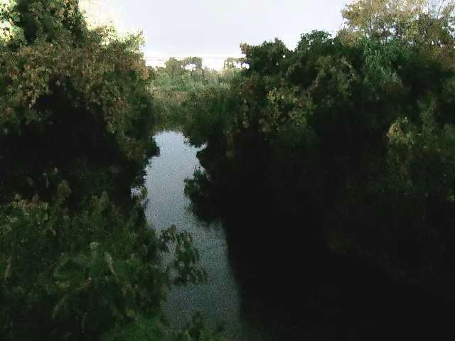 海老名分水路付近のカメラ画像