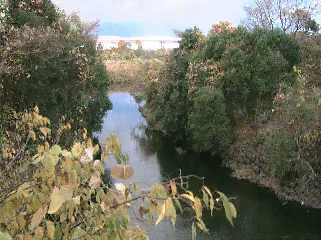 海老名分水路付近のカメラ画像