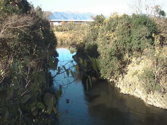 海老名分水路付近のカメラ画像